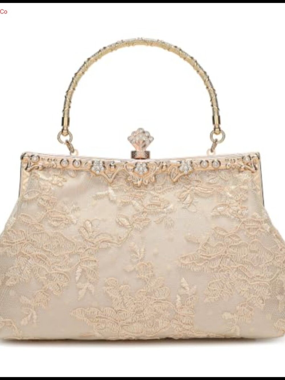 Lace Floral Evening Clutch with Rhinestone Metal Handle & Detachable Chain